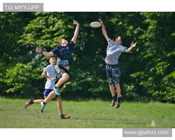 深圳飞盘队的防守体系解析与飞盘战术的深度探讨