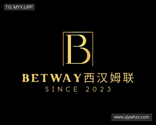 关于betway西汉姆联